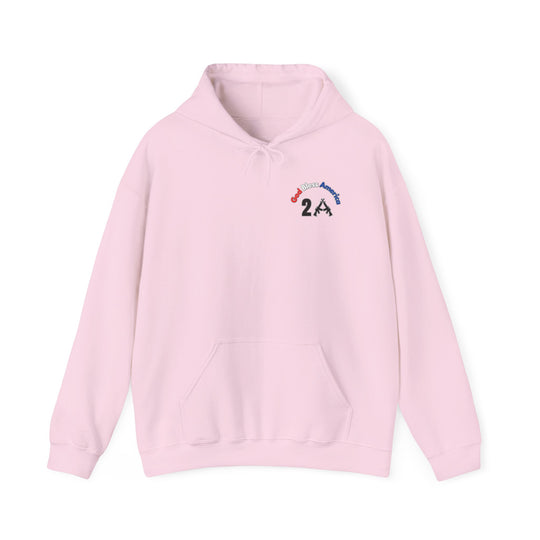 A pink sweatshirt with a logo featuring text and guns, a cozy blend of cotton and polyester, ideal for printing, with a kangaroo pocket and matching drawstring. God Bless America 2A Hoodie from Worlds Worst Tees.