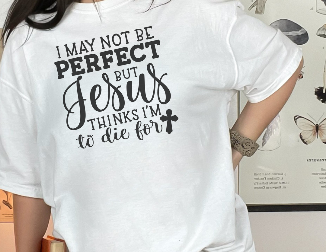 I May Not Be Perfect Tee