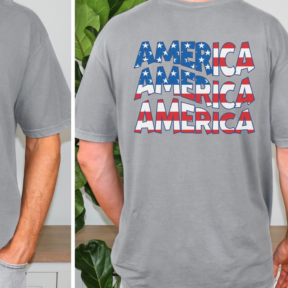 Alt text: A classic unisex America Tee shirt with a grey color, featuring a person wearing it. Made of 100% Airlume combed cotton, light fabric, retail fit, and tear-away label. Sizes from XS to 3XL.