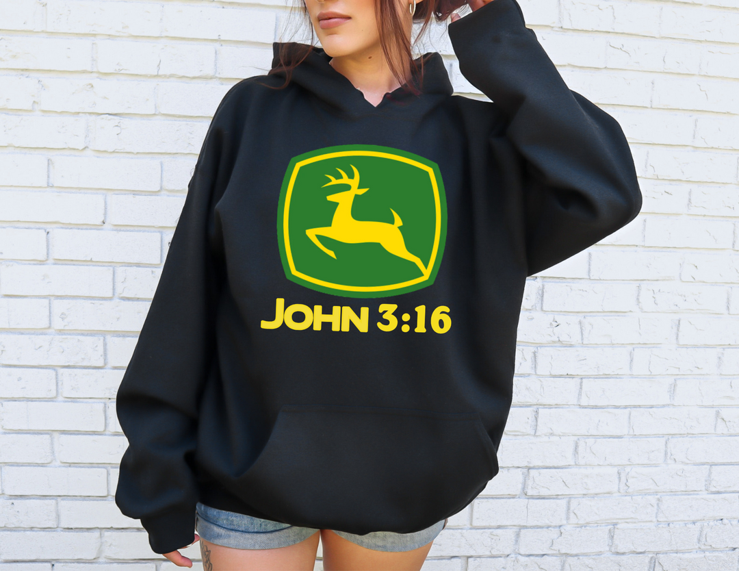 John 3:16 Hoodie