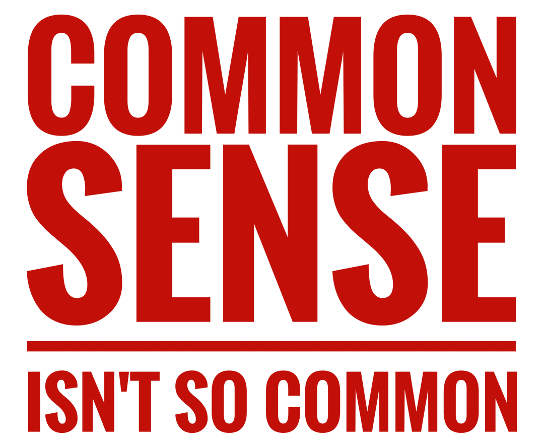 Common Sense Tee, garment-dyed, 100% ring-spun cotton, relaxed fit, soft-washed fabric, durable double-needle stitching, crew neckline, available in multiple sizes.