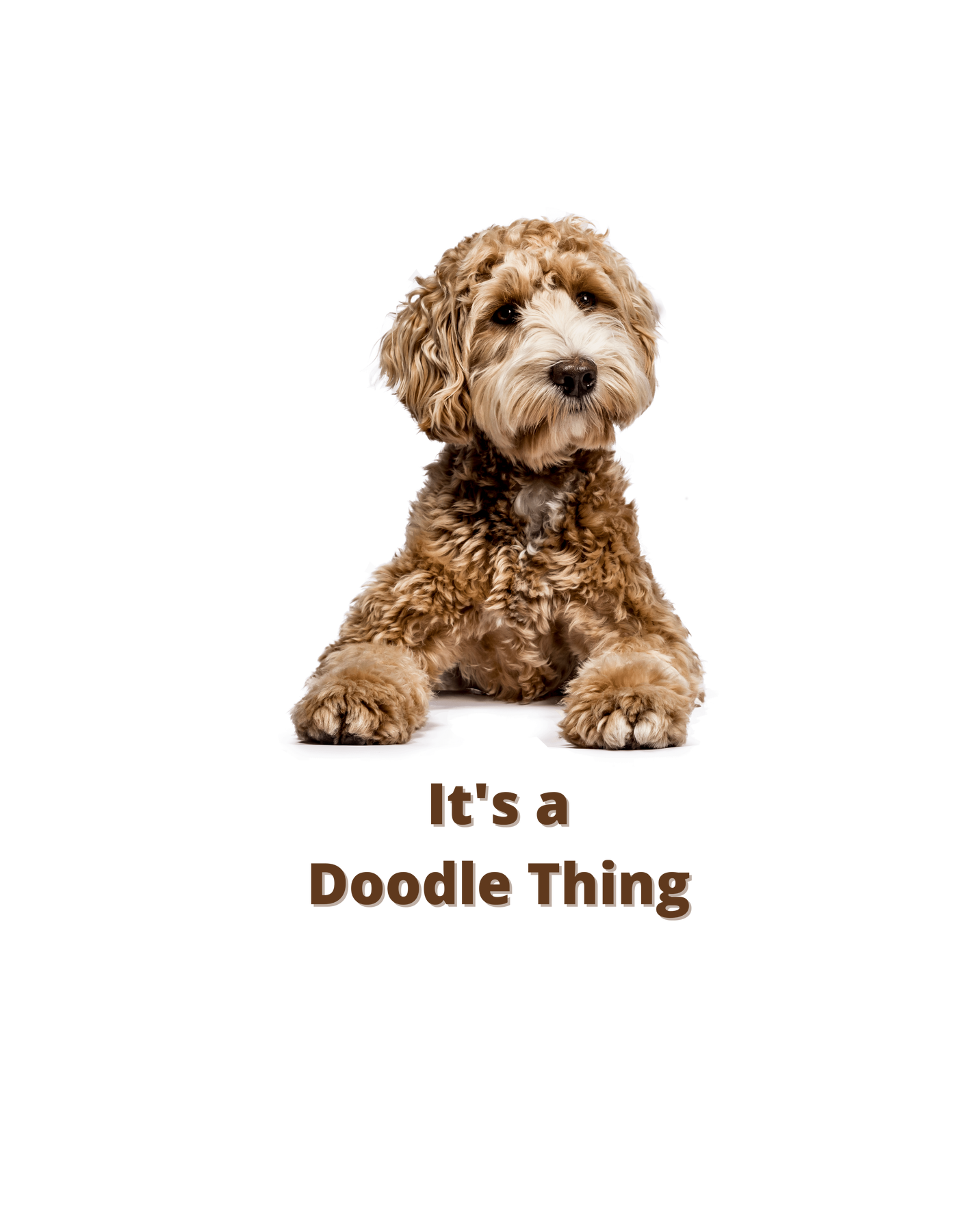 It's a Doodle Thing Tee